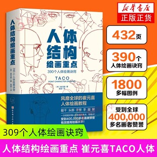 人体结构绘画重点 (韩)崔元喜 提升角色表现力吸引力人体绘画指南特定线条形状使角色更具说服力美术学画画艺术 人体绘画教程书籍