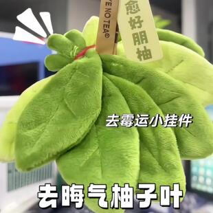 柚子叶去晦气挂饰挂件去霉运钥匙扣创意毛绒车挂包包挂饰送朋友