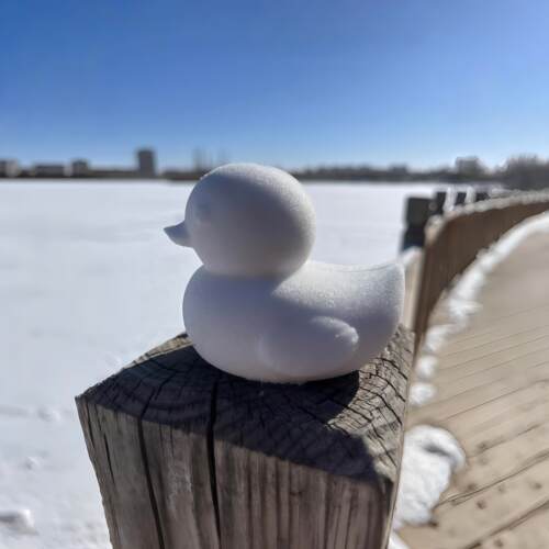 小鸭子雪球夹儿童户外玩