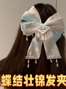 【广西非遗】蝴蝶结壮锦