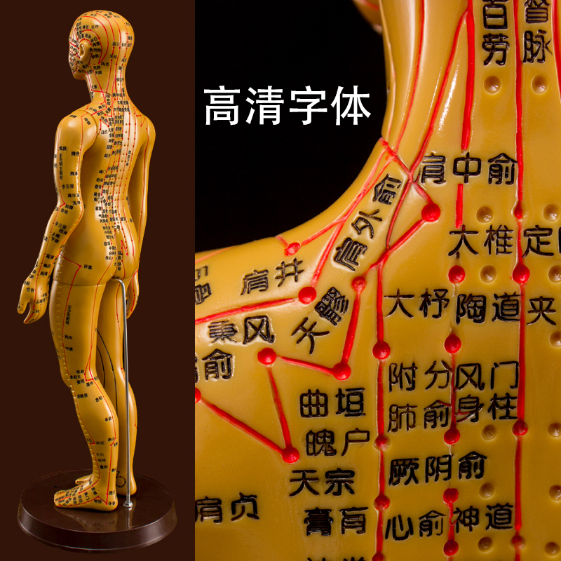 中医反复可扎针高清穴位送穴位图