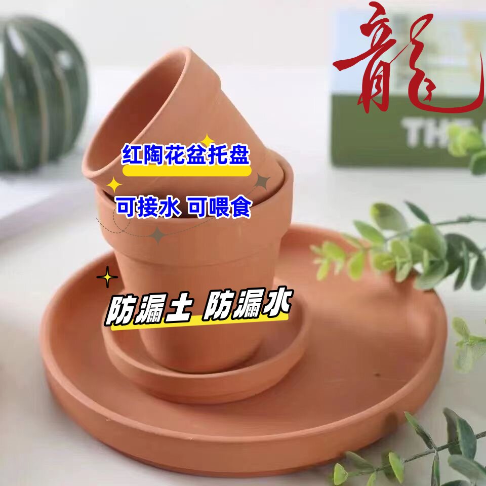 透气红陶多肉花盆托盘圆形培植简约防漏土防水可喂食鱼培植
