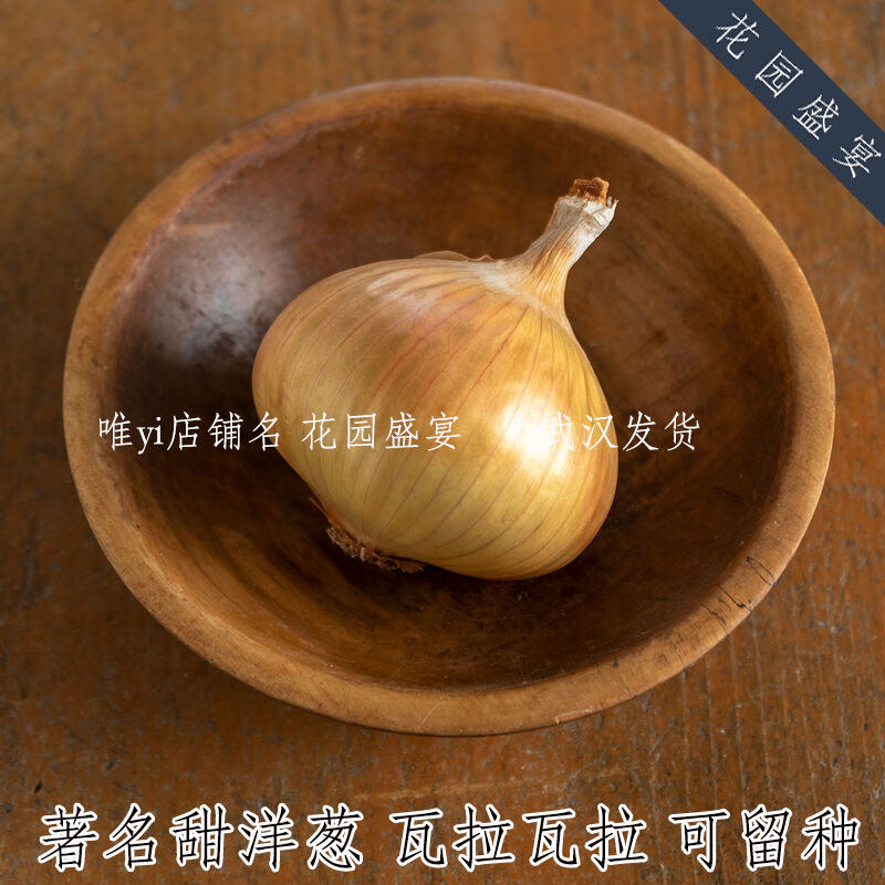 传家宝著名甜洋葱 瓦拉瓦拉 进口蔬菜种子 可留种
