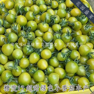 糖度13绿色超甜丰产杂交番茄 梦想青甜2号 绿果番茄 高产多汁甜