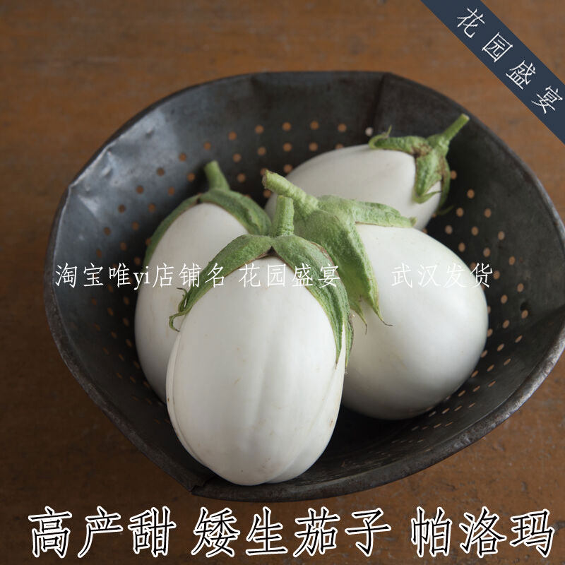3粒高产矮生奶油甜白茄子帕洛玛种子进口盆栽,鲜花速递/花卉仿真/绿植园艺,家庭园艺种子,淘宝优惠券,粉丝福利购,淘宝优惠卷