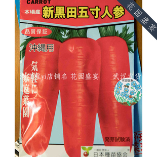 新黑田五寸参胡萝卜种子日本进口蔬菜种子