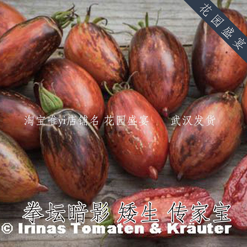 20粒 矮生 盆栽推荐 传家宝拳坛暗影番茄种子 野猪农场 稀有 可留