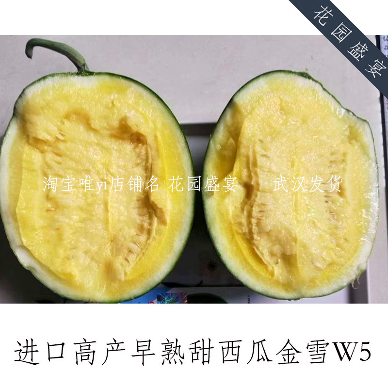 强烈推荐！早熟抗裂高产甜黄肉西瓜种子5粒金雪w5进口水果种子,鲜花速递/花卉仿真/绿植园艺,家庭园艺种子,淘宝优惠券,粉丝福利购,淘宝优惠卷
