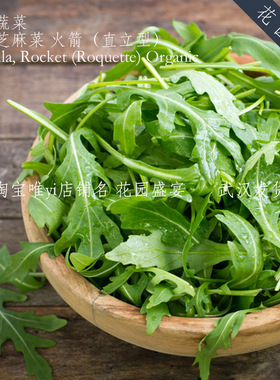 100粒可留种直立型芝麻菜火箭种子辛辣有机小空间推荐BURPEE