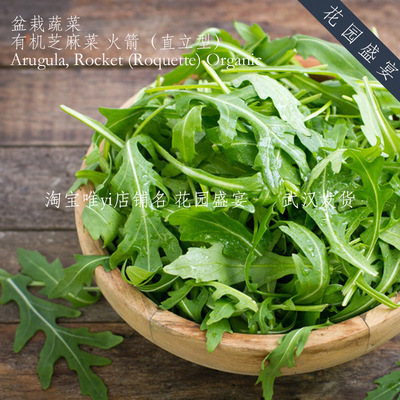 花园盛宴直立芝麻菜火箭