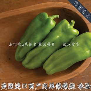 10粒肉厚高产型微微辣椒牛角椒拿骚大辣椒种子美国进口适合新手