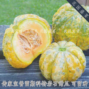 买1 送1传家宝岩石甜瓜普雷斯科特种子甜香漂亮可留种保真美国