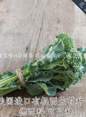 买1送1 有机西兰苔种子德西科传统品种可留种美国进口