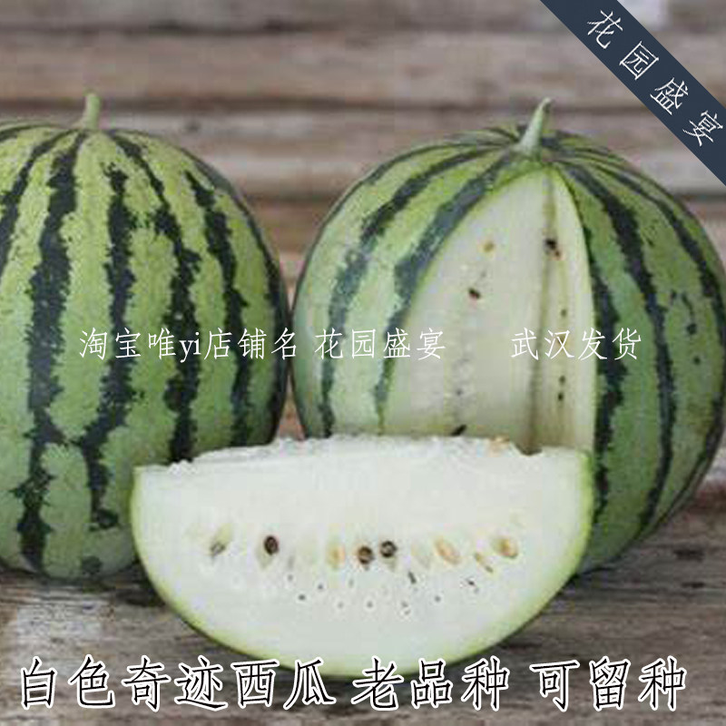 买1 送1可留种白色奇迹西瓜种子美味白肉小西瓜美国传家宝进口甜
