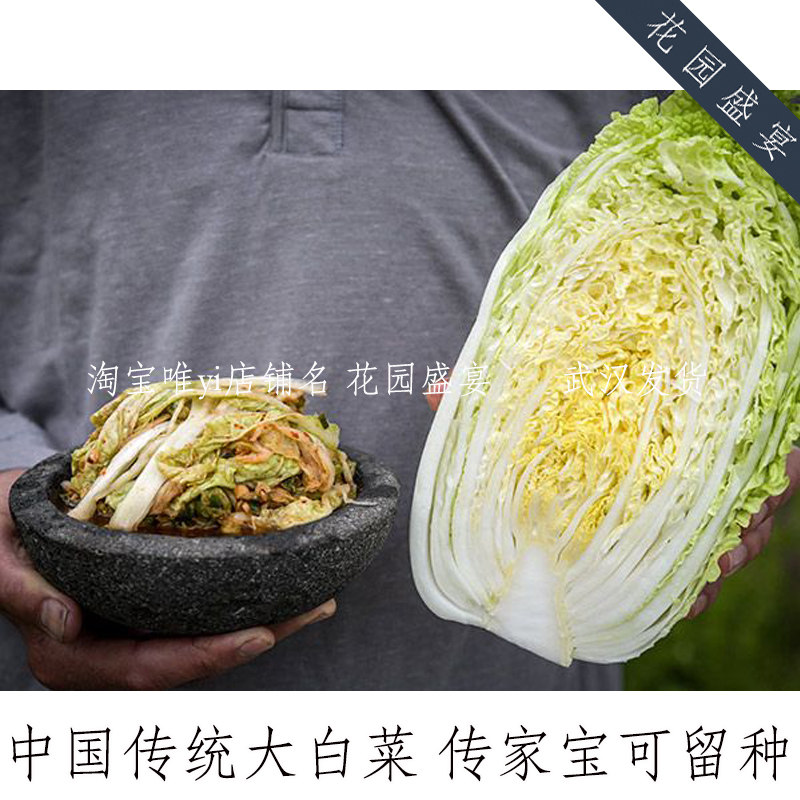传家宝中国传统大白菜希尔顿种子可留种老品种,鲜花速递/花卉仿真/绿植园艺,家庭园艺种子,淘宝优惠券,粉丝福利购,淘宝优惠卷