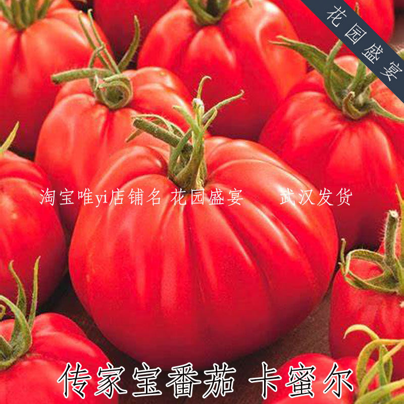 10粒 传家宝可留种卡蜜尔多肉番茄种子美国进口高产味美 包发芽