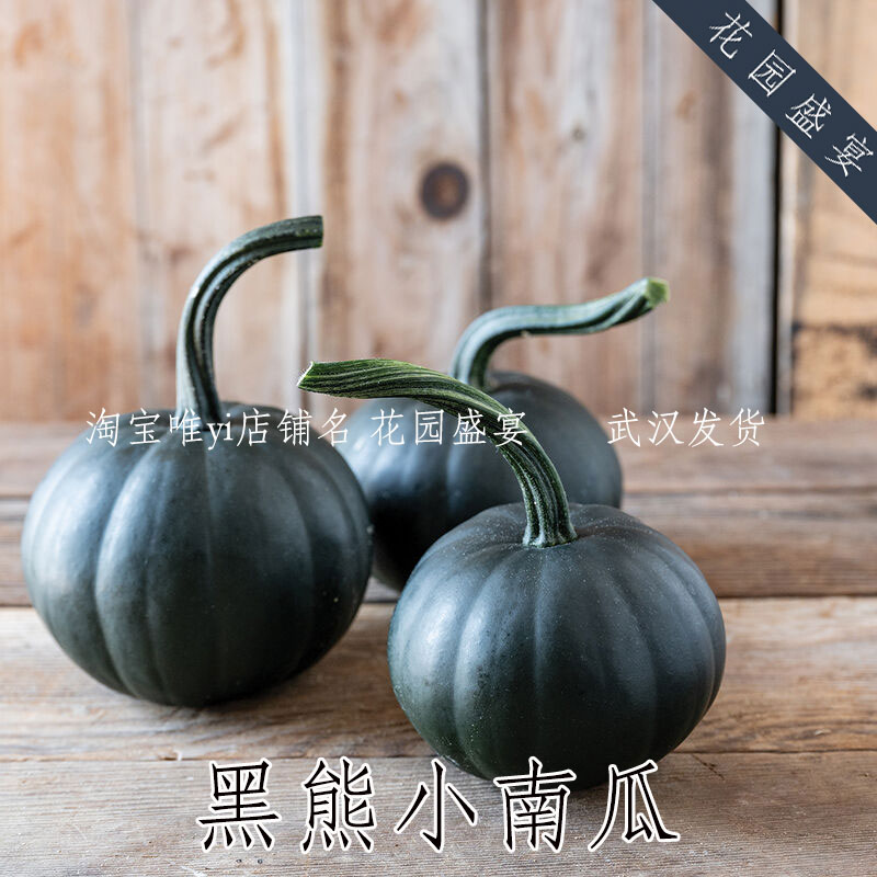 花园盛宴黑色南瓜小南瓜