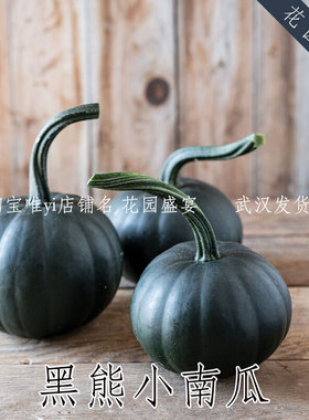 F1抗病高产黑色小南瓜黑熊种子3粒 进口种子