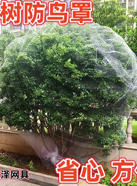 新款防鸟罩尼龙防鸟网果树樱桃嘉宝果枇杷蓝莓防鸟专用网阳台小孔