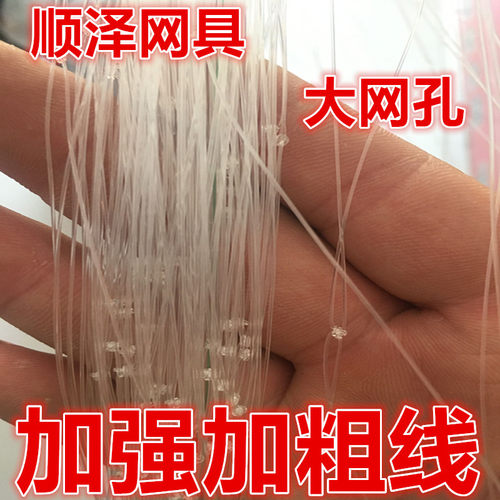 10厘米20厘米网孔防鸟网加粗加强线鱼塘防鸟网大孔防鸟网
