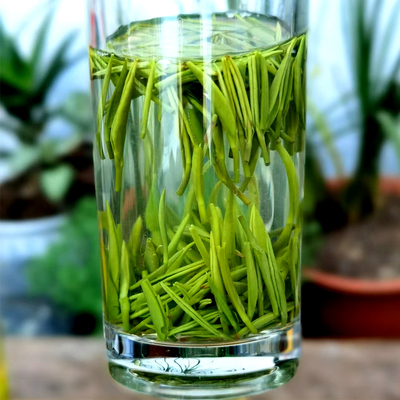 武当山茶芽茶新茶上市