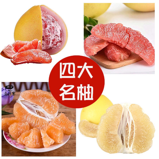 新鲜精品礼盒装三红柚白柚子