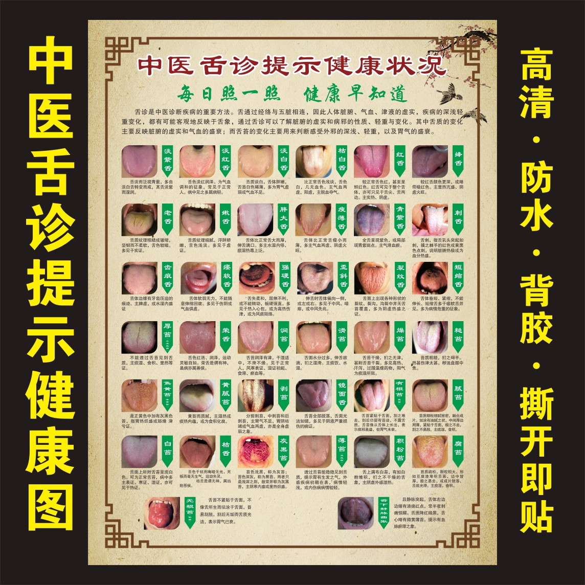 中医舌诊挂图舌诊辩证图解舌诊提示健康状况海报墙贴对照图中医画