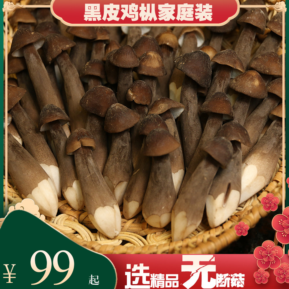 鸡枞菌黑皮鸡枞菌精选精品