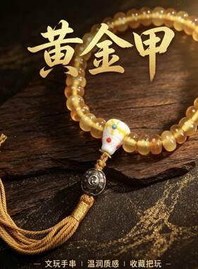 黄金甲算盘珠药片珠手链DIY鹿角万宝螺南红配饰文玩手串直播热卖