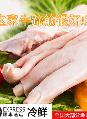 牛蹄筋新鲜冷冻现杀生国产食用