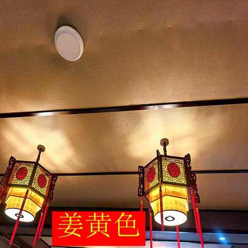民宿仿藤日式古风吊顶背景墙面装饰帘碳化藤席茶室木屋吊顶装修