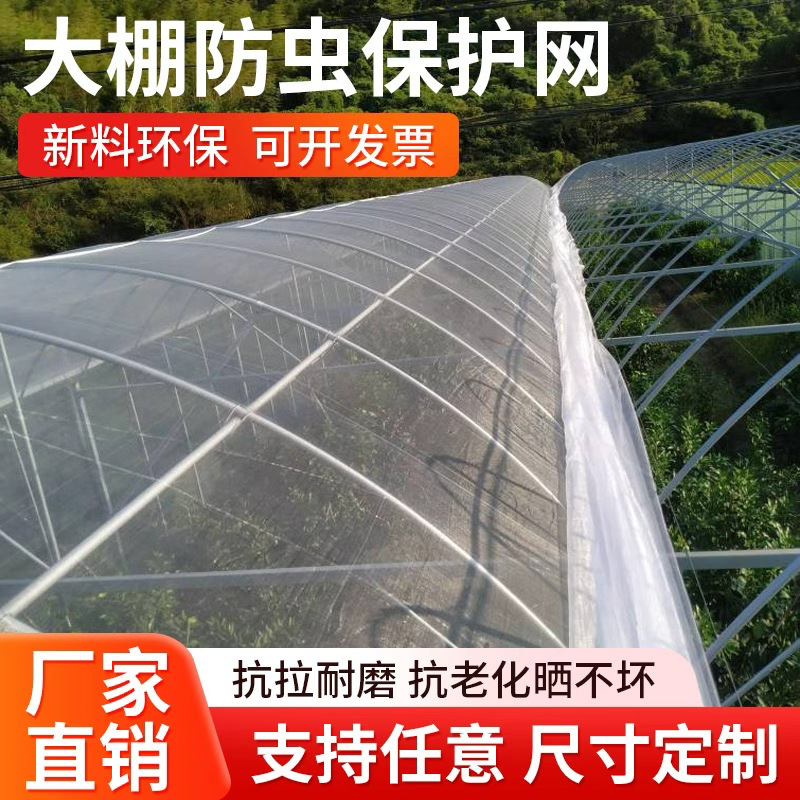 防虫网 大棚专用防虫网 种菜纱网 防护网果树防虫 纱网 养殖防蚊