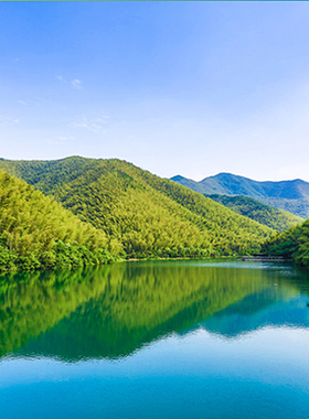 竹林海报竹子竹林树木海报定做自然风景画绿色护眼装饰贴画G3335C
