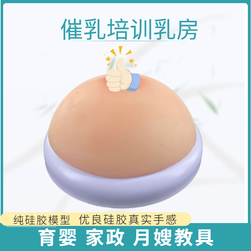 乳房模型义乳假乳/催乳师培训教具护理/乳房解剖模型哺乳教学玩具