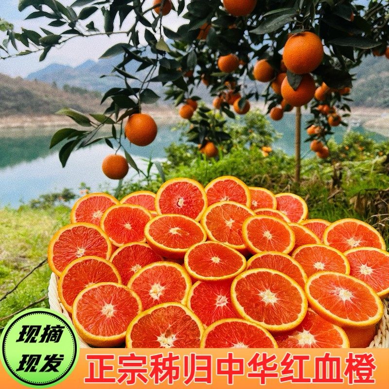 正宗血橙新鲜水果秭归橙子10斤当季甜橙手剥血橙新鲜水果整箱包邮,水产肉类/新鲜蔬果/熟食,橙,淘宝优惠券,粉丝福利购,淘宝优惠卷