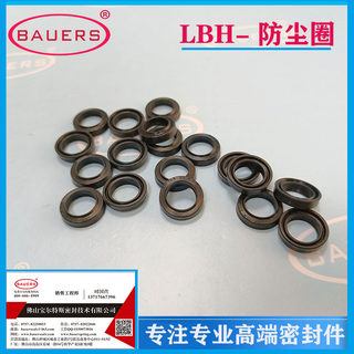 进口防尘圈/LBH型LBI橡胶防尘圈/DSI聚氨酯防尘圈支持非标定做424