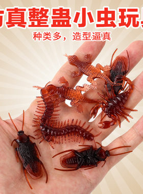 仿真蟑螂整蛊玩具愚人节
