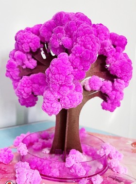 纸树开花神奇魔法圣诞树浇水生长结晶圣诞节礼物手工玩具装饰摆件