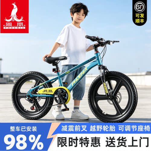 凤凰儿童用骑行脚踏单车送货上门