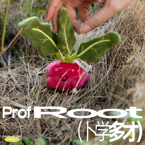 LOGALOGA啰嘎啰嘎菜园滚滚毛绒