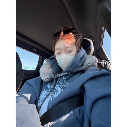 松弛感蓝色小狗印花连帽卫衣外套女秋季开衫拉链短款休闲宽松上衣