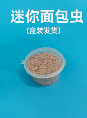 面包虫活体黄粉虫幼虫卵跳蛛
