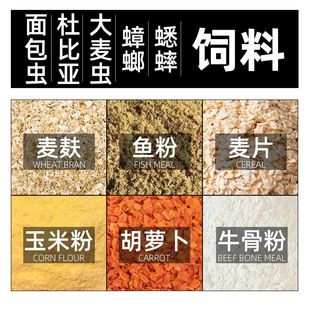 面包虫食物蟋蟀蛐蛐杜比亚樱桃蟑螂饲料麦麸麦片玉米粉胡萝卜