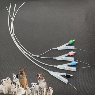 加长款犬用双腔导尿管 500mm狗狗排尿管结石尿路不顺堵塞排尿