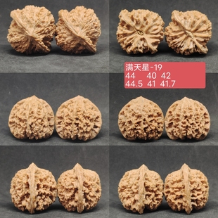 满天星02文玩核桃一物一图，南疆石白狮子苹果圆磨盘宫灯小众山地