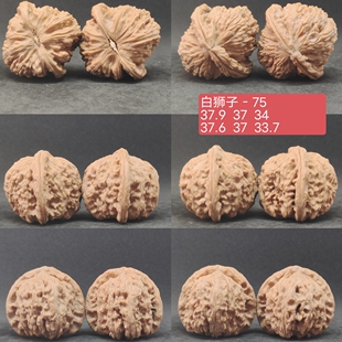 白狮子03文玩核桃一物一图，南疆石白狮子苹果园磨盘宫灯小众山