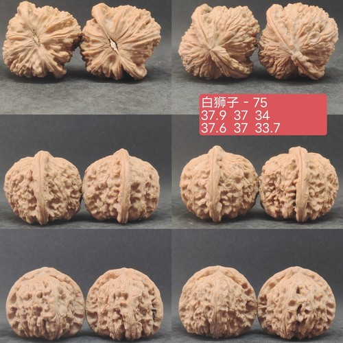 白狮子03文玩核桃一物一图，南疆石白狮子苹果园磨盘宫灯小众山
