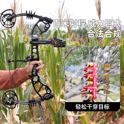 猛禽五代复合弓2025新款打钢珠高精度户外运动户外5代两用弓