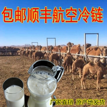 1000g 2斤骆驼奶新疆原奶无糖骆驼鲜奶骆驼纯奶产地直供 顺丰空运