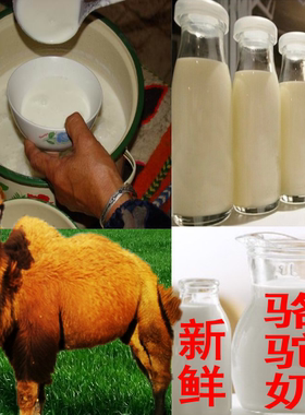 10瓶新鲜骆驼奶新疆哈萨克族骆驼鲜奶骆驼奶纯奶顺丰空运新鲜牧场
